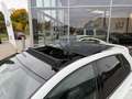 Volkswagen Golf R Golf 2.0 TSI 20 JAHRE | BTW | AKRA | PANO | H&K | Blanc - thumbnail 16