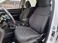 Hyundai TUCSON 1.6 TGDI 48V Maxx Sky 4x2 Blanco - thumbnail 9