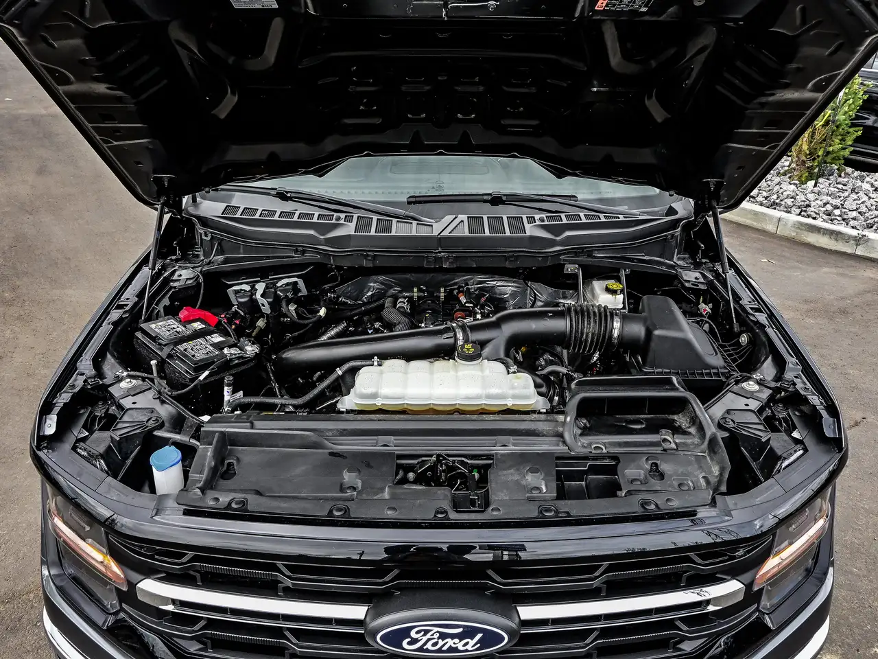 Ford F 150 fotografie Ford F 150
