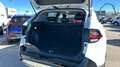 Kia Sportage 1.6 T-GDI HEV TECH AUTO 215 5P Blanco - thumbnail 17