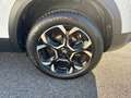 Citroen C5 Aircross BlueHDi 130 S&S Shine EAT8 Weiß - thumbnail 7