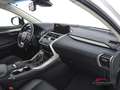Lexus NX 300h Hybrid 4WD Executive Weiß - thumbnail 12
