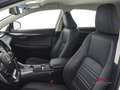 Lexus NX 300h Hybrid 4WD Executive Weiß - thumbnail 9