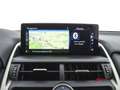 Lexus NX 300h Hybrid 4WD Executive Weiß - thumbnail 17