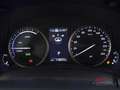 Lexus NX 300h Hybrid 4WD Executive Weiß - thumbnail 13