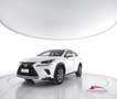 Lexus NX 300h Hybrid 4WD Executive Weiß - thumbnail 1