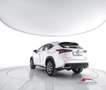 Lexus NX 300h Hybrid 4WD Executive Weiß - thumbnail 4