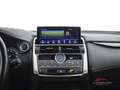 Lexus NX 300h Hybrid 4WD Executive Weiß - thumbnail 19