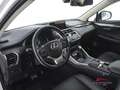 Lexus NX 300h Hybrid 4WD Executive Weiß - thumbnail 8