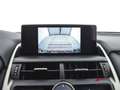 Lexus NX 300h Hybrid 4WD Executive Weiß - thumbnail 18