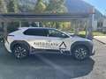 Subaru Solterra E-xperience+ 71,4kWh AWD Weiß - thumbnail 4