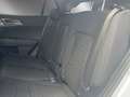 Kia Sportage 1,6 TGDI 48V Gold AWD DCT Silber - thumbnail 14