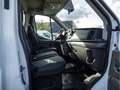 Ford Transit Pritsche TREND 350L3 Laubfang AHK Weiß - thumbnail 7