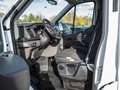 Ford Transit Pritsche TREND 350L3 Laubfang AHK Weiß - thumbnail 9