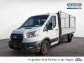 Ford Transit Pritsche TREND 350L3 Laubfang AHK Weiß - thumbnail 1