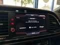SEAT Leon ST FR /Aut./2.Hd/98TKM/Navi/Erdgas Grigio - thumbnail 23