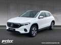 Mercedes-Benz EQA 300 4M Progressive/9G/LED/Panorama-SD/AHK/ Weiß - thumbnail 1