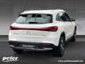 Mercedes-Benz EQA 300 4M Progressive/9G/LED/Panorama-SD/AHK/ Weiß - thumbnail 4