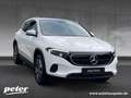 Mercedes-Benz EQA 300 4M Progressive/9G/LED/Panorama-SD/AHK/ Weiß - thumbnail 5