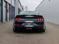 Ford Mustang Shelby Supersnake Fastback 5,0 L V8 AT RWD / 1.... Noir - thumbnail 8