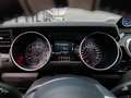Ford Mustang Shelby Supersnake Fastback 5,0 L V8 AT RWD / 1.... Noir - thumbnail 29