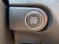 Kia Ceed / cee'd Ultimate Edition 1.5T 48V DCT Style Blanc - thumbnail 17
