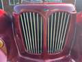 Overig Pilgrim Bulldog Roadster 1600 - cabrio Rood - thumbnail 23