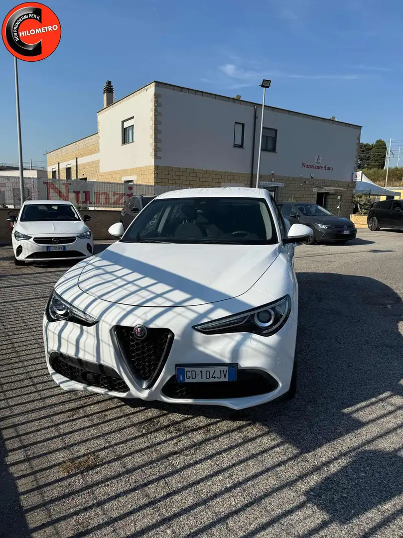 Alfa Romeo Stelvio 2.2 Turbodiesel 160 CV AT8 RWD Super Wit - 2