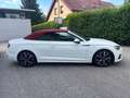 Audi A5 35 Tdi Cabrio Leder AUT Klima Weiß - thumbnail 4