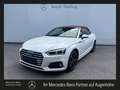 Audi A5 35 Tdi Cabrio Leder AUT Klima Weiß - thumbnail 1