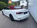 Audi A5 35 Tdi Cabrio Leder AUT Klima Weiß - thumbnail 5