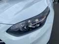 Kia Ceed SW / cee'd SW CEED SW 1.5T 48V DCT 140 ULTIMATE STD Wit - thumbnail 17