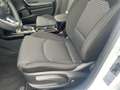 Kia Ceed SW / cee'd SW CEED SW 1.5T 48V DCT 140 ULTIMATE STD Wit - thumbnail 20