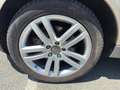 Audi Q7 AVUS V6 3.0 TDI 6S 240CH Beige - thumbnail 18