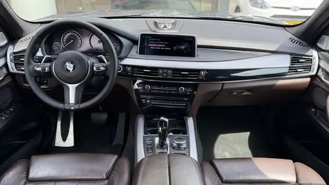 BMW X5 view 11