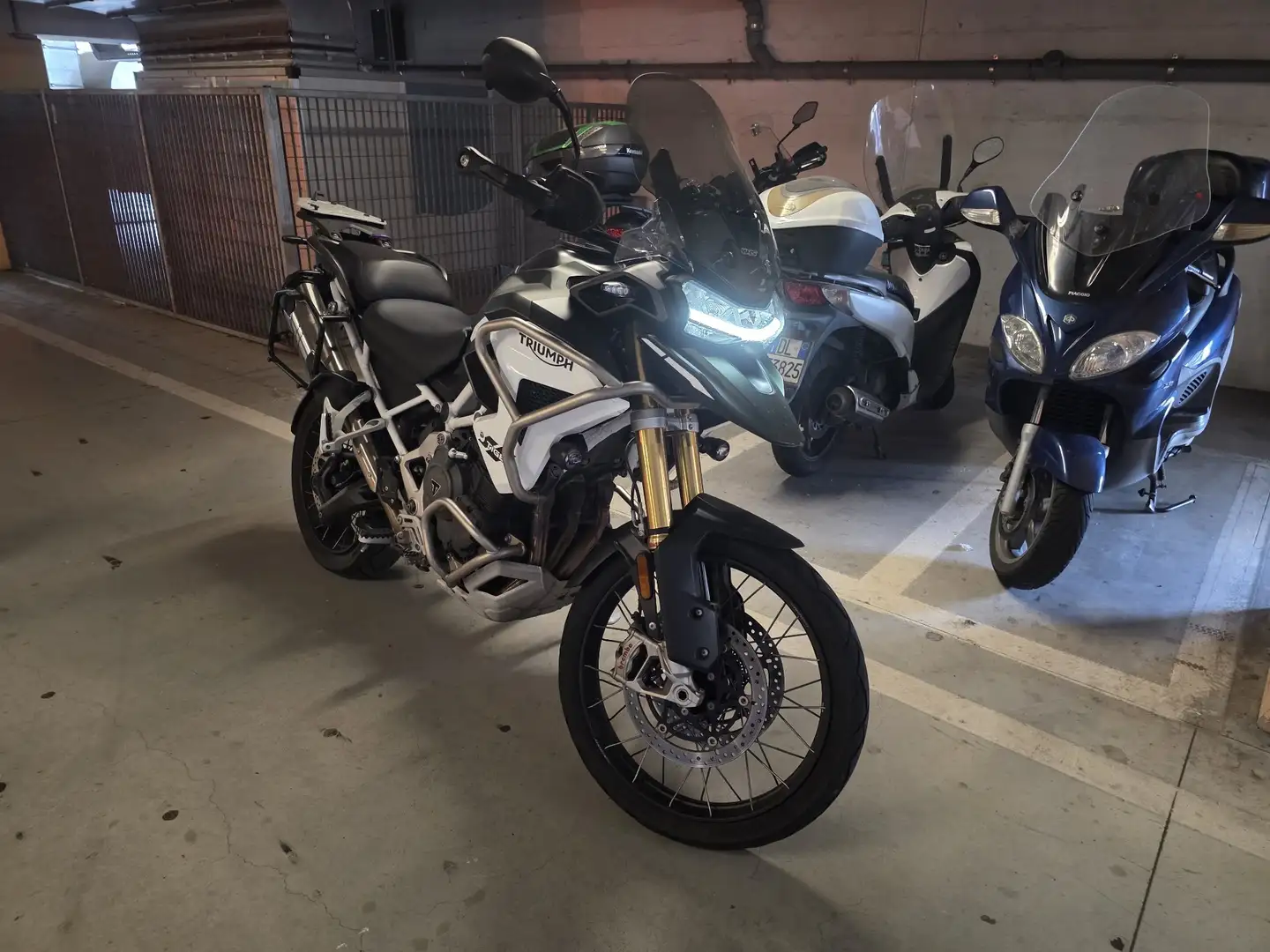 Triumph Tiger 1200 rally pro Зелёный - 1