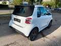 smart forTwo Cabrio EQ *Exclusive/JBL/22kW/Winter/LED* Blanc - thumbnail 6
