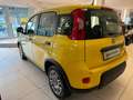Fiat Panda 1.0 GSE 51kW Mild-Hybrid *City Paket* Jaune - thumbnail 4