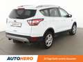 Ford Kuga 1.5 TDCi Cool&Connect*NAVI*TEMPO*PDC*SHZ*KLIMA* Weiß - thumbnail 6