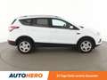 Ford Kuga 1.5 TDCi Cool&Connect*NAVI*TEMPO*PDC*SHZ*KLIMA* Weiß - thumbnail 7