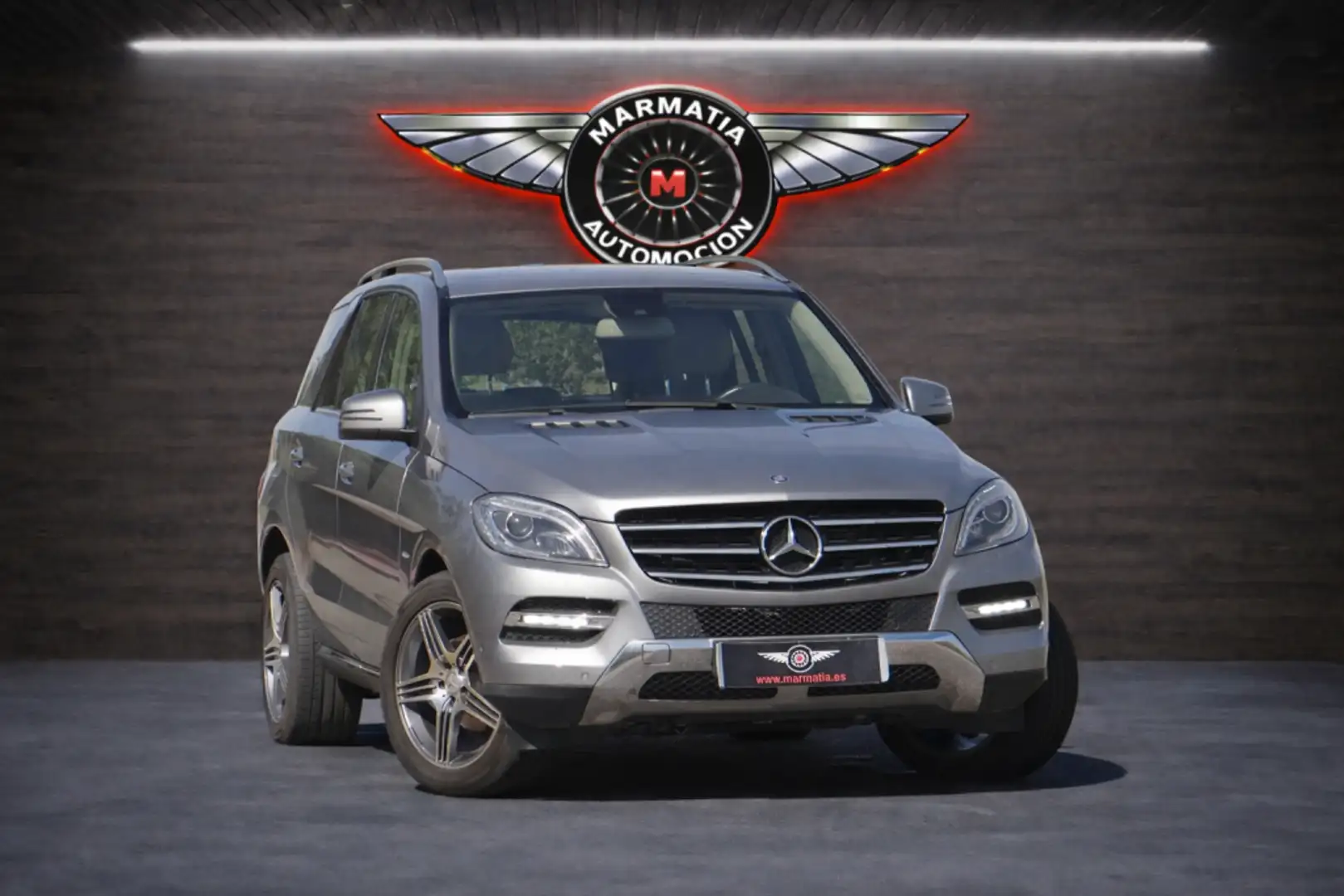Mercedes-Benz ML 250 250BlueTec 4M 7G Plus Gris - 1