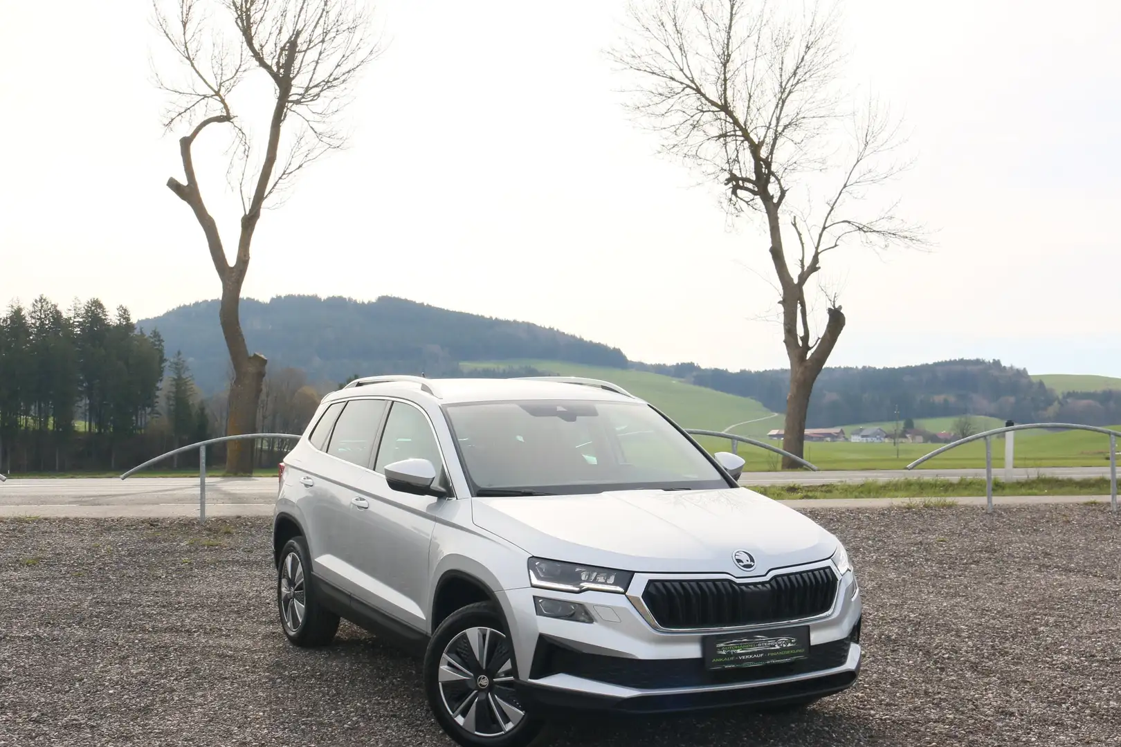 Skoda Karoq Xenon*Kamera*AHK*Abstand*Keyless entry Grau - 1