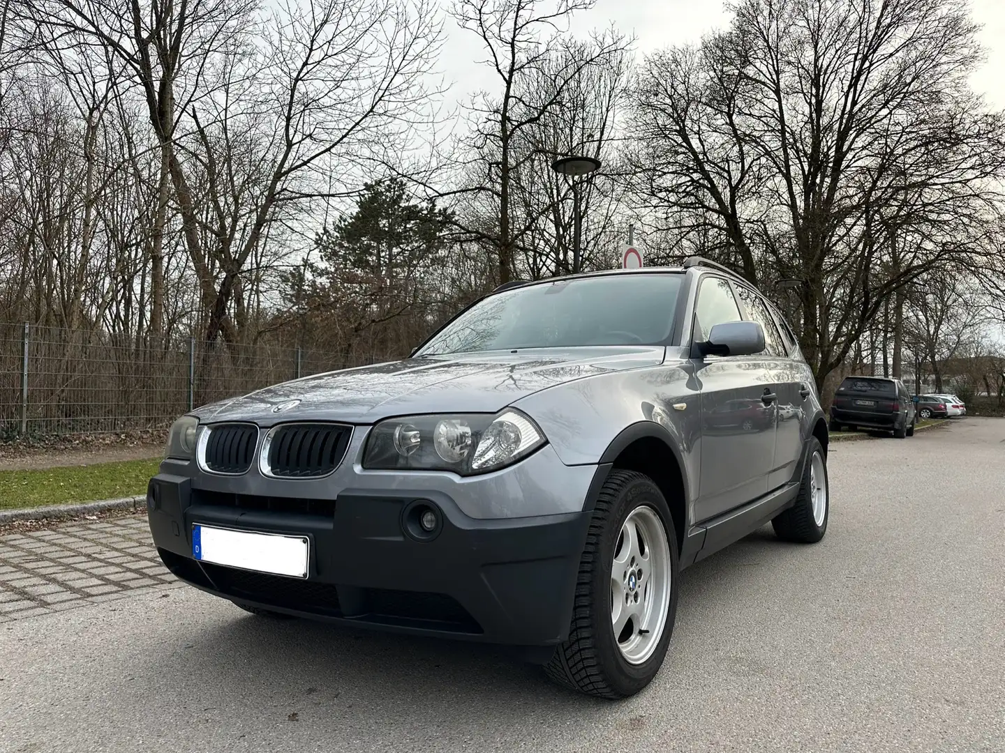 BMW X3 X3 2.0d Grau - 1