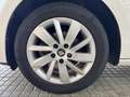 SEAT Leon 1.2 TSI S&S Reference 110 Blanco - thumbnail 8