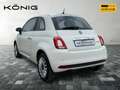 Fiat 500 MY23 1.0 Klima Navigation PDC Komfortpaket Weiß - thumbnail 4