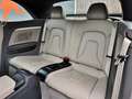 Audi A5 #CABRIO#TÜV#SERVICE#AHK#8.FACH-BER#SITZBELÜFT Weiß - thumbnail 21