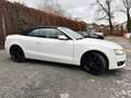 Audi A5 #CABRIO#TÜV#SERVICE#AHK#8.FACH-BER#SITZBELÜFT Weiß - thumbnail 7
