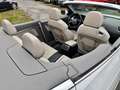 Audi A5 #CABRIO#TÜV#SERVICE#AHK#8.FACH-BER#SITZBELÜFT Weiß - thumbnail 15
