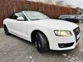 Audi A5 #CABRIO#TÜV#SERVICE#AHK#8.FACH-BER#SITZBELÜFT Weiß - thumbnail 8