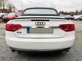 Audi A5 #CABRIO#TÜV#SERVICE#AHK#8.FACH-BER#SITZBELÜFT Weiß - thumbnail 5